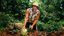 BENEDICT MEYER ZU STROHE