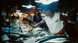 BENEDICT MEYER ZU STROHE