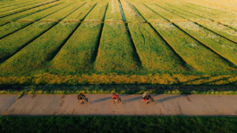BENEDICT MEYER ZU STROHE
