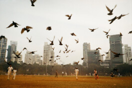 BENEDICT MEYER ZU STROHE