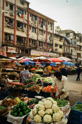 BENEDICT MEYER ZU STROHE
