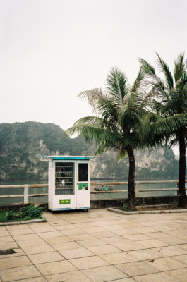 BENEDICT MEYER ZU STROHE