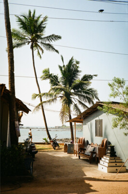 BENEDICT MEYER ZU STROHE