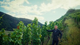 BENEDICT MEYER ZU STROHE