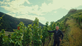 BENEDICT MEYER ZU STROHE