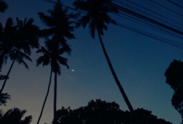 BENEDICT MEYER ZU STROHE