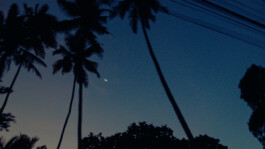 BENEDICT MEYER ZU STROHE