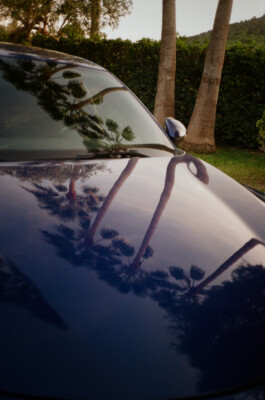 BENEDICT MEYER ZU STROHE