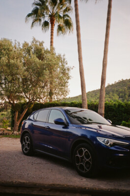 BENEDICT MEYER ZU STROHE