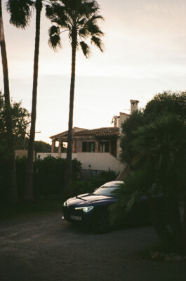 BENEDICT MEYER ZU STROHE