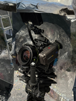 BENEDICT MEYER ZU STROHE