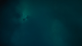 BENEDICT MEYER ZU STROHE