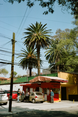 BENEDICT MEYER ZU STROHE