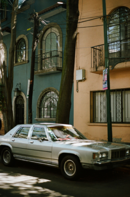 BENEDICT MEYER ZU STROHE