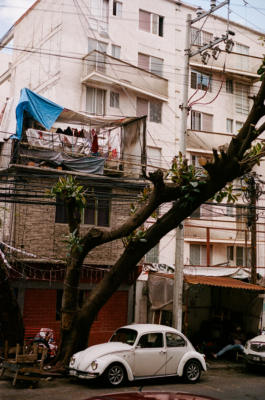 BENEDICT MEYER ZU STROHE
