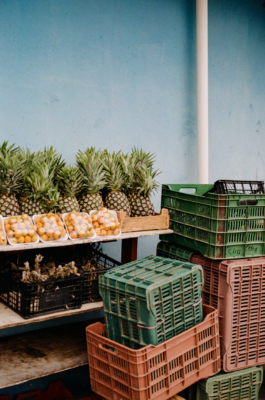 BENEDICT MEYER ZU STROHE