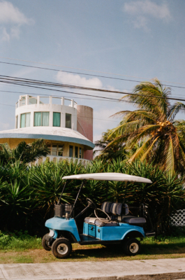 BENEDICT MEYER ZU STROHE