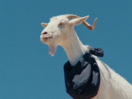 BENEDICT MEYER ZU STROHE