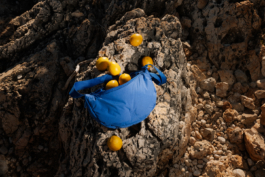 BENEDICT MEYER ZU STROHE