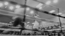 BENEDICT MEYER ZU STROHE